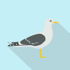 Seagull. Gull bird vector web icon isolated on white background, EPS 10, top view