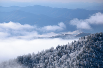 Landscape from Clingmans Dome with snow, fog, and frosted trees, Great Smoky Mountains National...