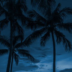 Fototapeta na wymiar Sunset and palms. Classic Blue abstract background. Color of the year 2020.