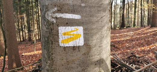 Goldsteig Wanderweg Symbol an einem Baum in Bayern, Deutschland