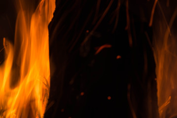 Bonfire flame close up. Abstract background. Concept of danger and passion