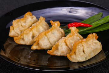 Japanese traditional cuisine Gyoza dumplings