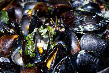 seafood mussels cooked in pan, background healthy wholesome food