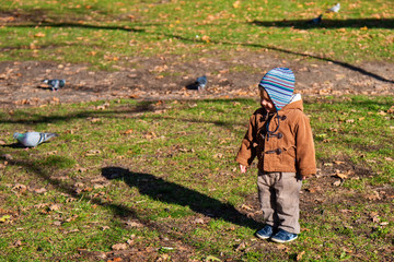 Fototapeta na wymiar Little boy standing in autumn park. Boy and pigeons in the park