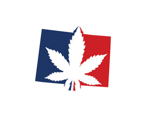 Colorado Map With Cannabis Leaf Logo Vector 001