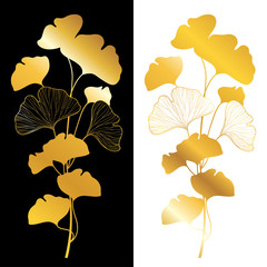 Branch silhouette of Gingko or Ginkgo biloba leaf in gold isolated on white and black background.