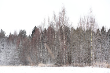 Winter landscape of country fields and roads