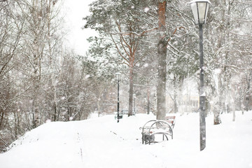 Winter landscape of country fields and roads