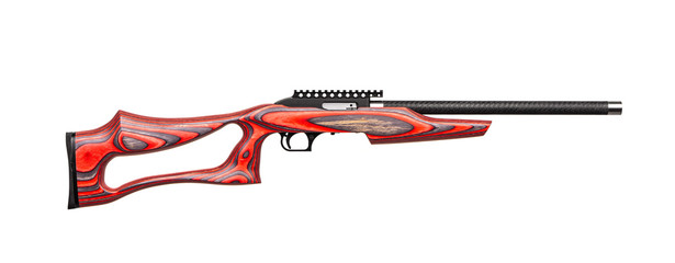 Classic bolt carbine .22lr with a wooden butt isolate on a white background