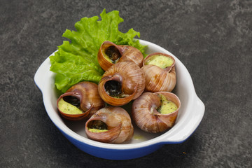 French cuisine - Escargot with sauce