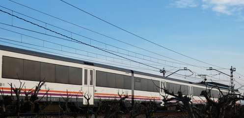 Naklejka premium tren