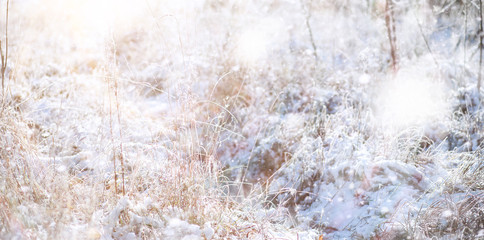 Obraz premium Winter Park. Landscape in snowy weather. January.