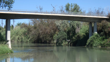 puente