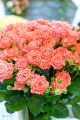 Fresh pink roses. Large, beautiful bouquet of pink roses. vertical photo