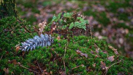A silver  pine cone