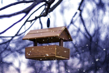 Bird feeder hangs on a tree in winter during snowfall_