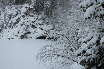 winter landscape with trees and snow