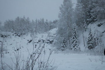 winter landscape with trees and snow