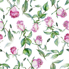 Beautiful pink roses and green leaves on white background. Seamless floral pattern. Watercolor painting. Hand drawn and painted illustration. - 309668972