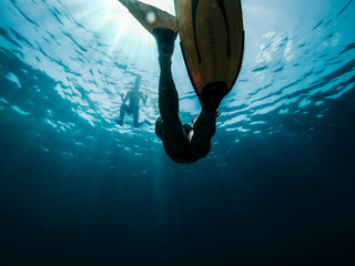 Diver emerge from the sea