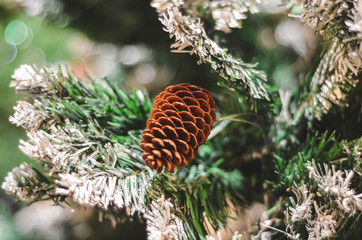 Lonely bump on a snow-covered Christmas tree
