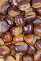 a pile of raw chestnuts waiting for roasting. Christmas winter feeling background