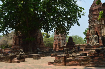 Naklejka premium Thailand Architecture Garden Bangkok Park