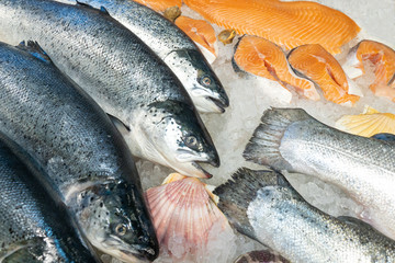 Showcase fish shop. Whole and butchered salmon lying on the ice. Sale of fresh fish. Counter for storage and demonstration of seafood. Options for cutting salmon.