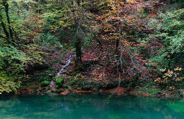 Source de l'Ain, Jura