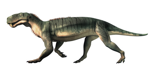 Gorgonops was a member of the Therapsids, an order that includes the ancestors of mammals. They existed before the dinosaurs and are extinct.  3D Rendering. On a white background.