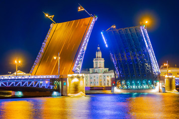 Plakat Saint Petersburg. Russia. Palace bridge. Breeding the palace bridge. Illumination of night St. Petersburg. Kunstkamera building at night. Bridges of St. Petersburg. Traveling in Russia. Attractions