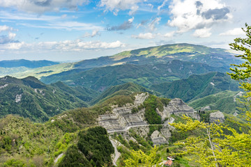 Green spring trees in the  Casentino Forests National Park