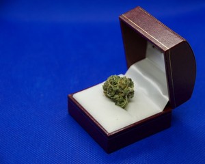 Cannabis in a ring box