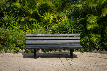 empty bench in park - wooden bench in tropical garden -