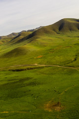 Aerial view of the Mongolian countryside, not far from Ulaanbaatar, the capital of Mongolia, circa June 2019