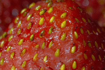 Closeup of strawberry