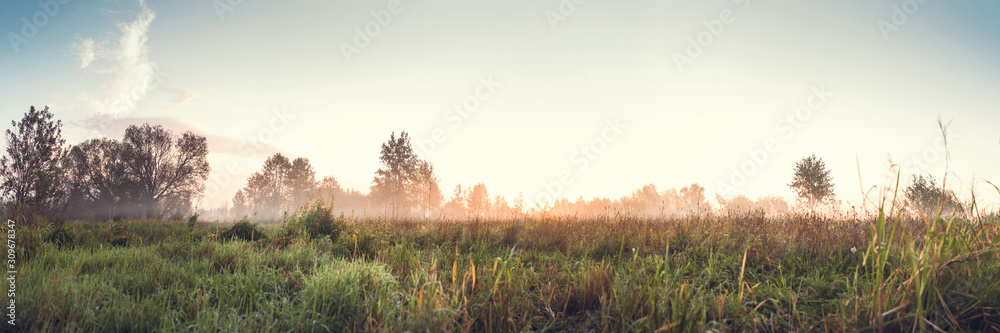 Wall mural foggy morning in the village. meadow, grass, low visibility