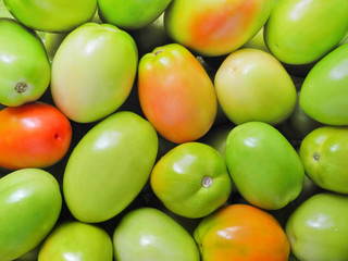 Natural background from fresh unripe tomatoes. Wallpaper with harvest.