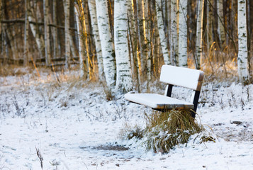 Snowy bench in a forest at winter