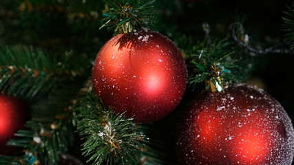 Obraz premium Christmas decorations on the Christmas tree. Red ball.