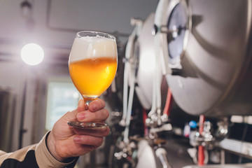 Mature man examining the quality of craft beer at brewery. Inspector working at alcohol manufacturing factory checking beer. Man in distillery checking quality control of draught beer.
