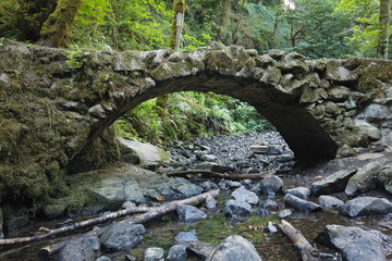Fototapeta na wymiar Stone bridge in Council Crest Park, Portland, OR