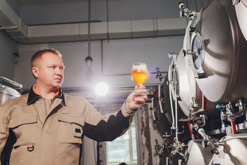 Mature man examining the quality of craft beer at brewery. Inspector working at alcohol manufacturing factory checking beer. Man in distillery checking quality control of draught beer.