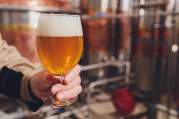 Mature man examining the quality of craft beer at brewery. Inspector working at alcohol manufacturing factory checking beer. Man in distillery checking quality control of draught beer.