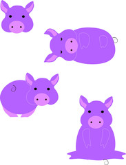 little cute pig illustration