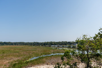 Scenic Ashley river vista near Charleston, South Carolina