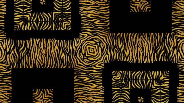Animated african pattern VJ loop