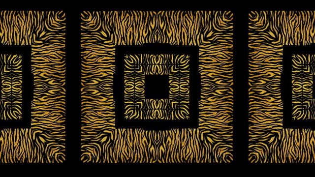 Animated african pattern VJ loop