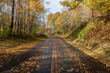 Autumn road in Great Smoky Mountains National Park with colorful leaves of Appalachian fall color.
