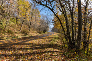 Fototapeta premium Autumn road in Great Smoky Mountains National Park with colorful leaves of Appalachian fall color.